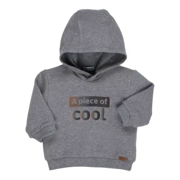SALE Gymp hoodie 4880 grijs