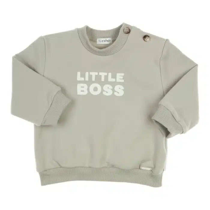 Gymp sweater 5711 pale green