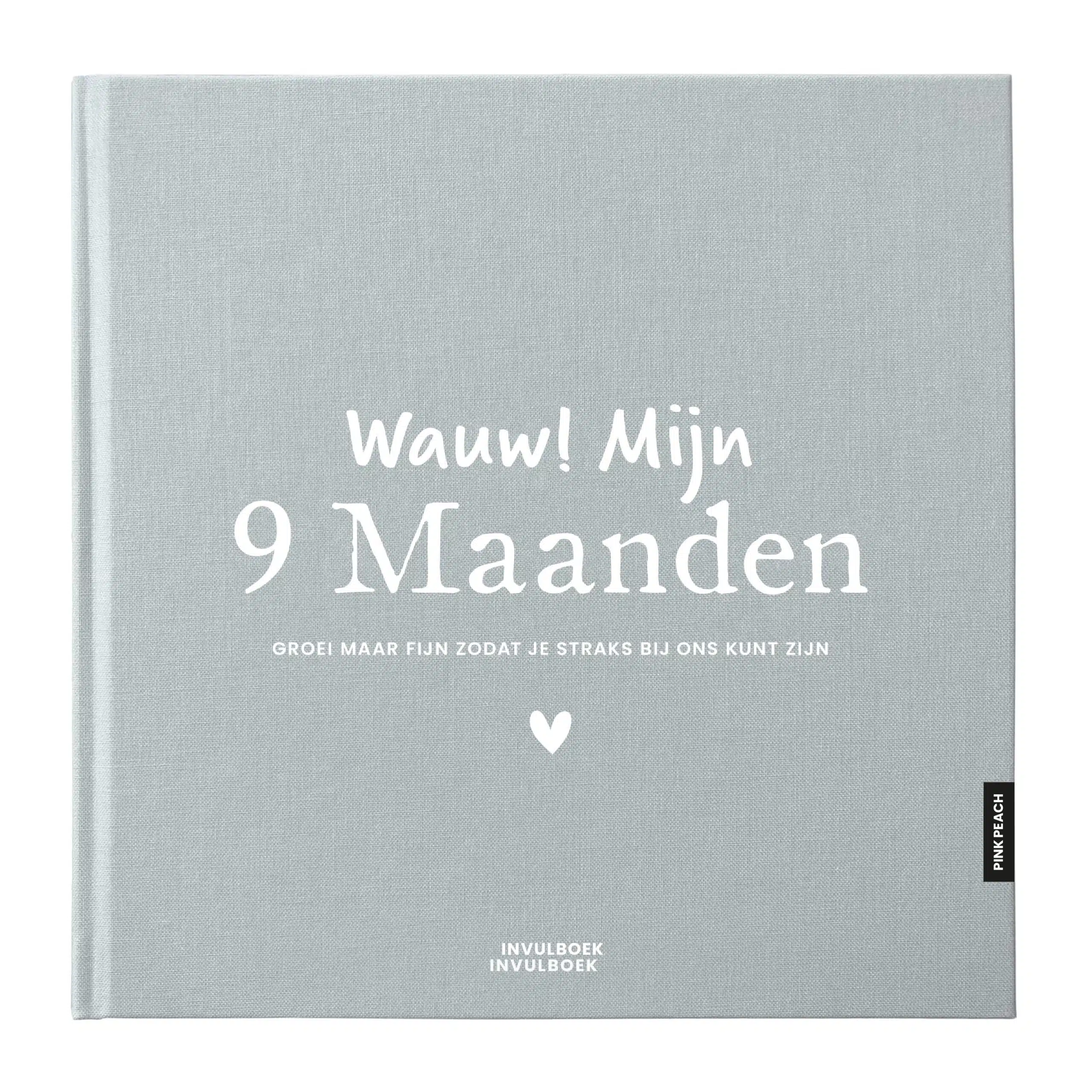 Pinkpeach invulboek 9 maanden sky